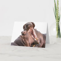 Två stora mun-Hippo-kort