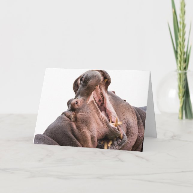 Två stora mun-Hippo-kort Kort (Framsida)