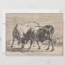 Två stridsbullar (av Paulus Potter)