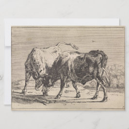 Två stridsbullar (av Paulus Potter) Kort