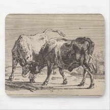 Två stridsbullar (av Paulus Potter)