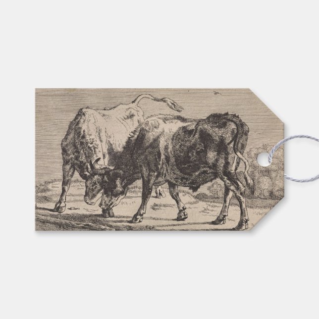 Två stridsbullar (av Paulus Potter) Presentetikett (Framsidan (Horisontell))