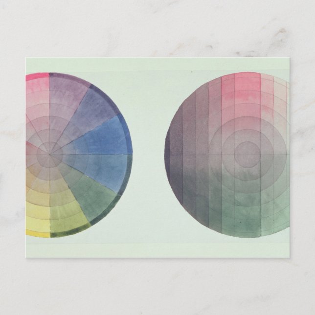 Två studier av kor och den längsgående sektionen vykort (Framsida)