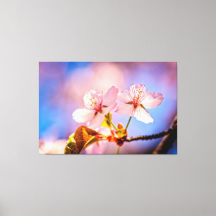Två Sunlit Sakura-Blommar Canvastryck