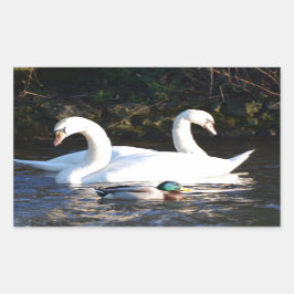 Två Svanar och Anka Rektangulärt Klistermärke