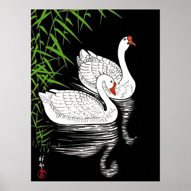 Två Svanar på en Bassäng - vit på en svart bakgrun Poster (Framsidan)