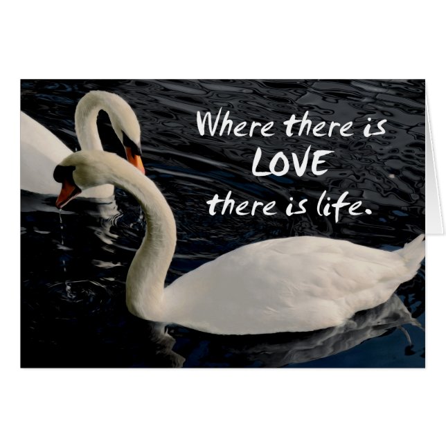 Två Svanar på Sjö Hälsningskort (Framsidan Horizontal)