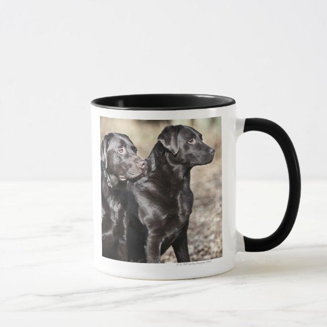 Två svart Labrador retrievers Mugg (Höger)