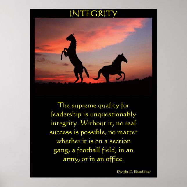 Två svarta hallioner i silhuett poster (Framsidan)