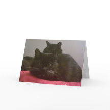 Två Svarta katter-hälsningskort