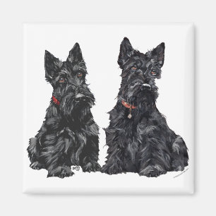 Två svarta skotska terrier magnet