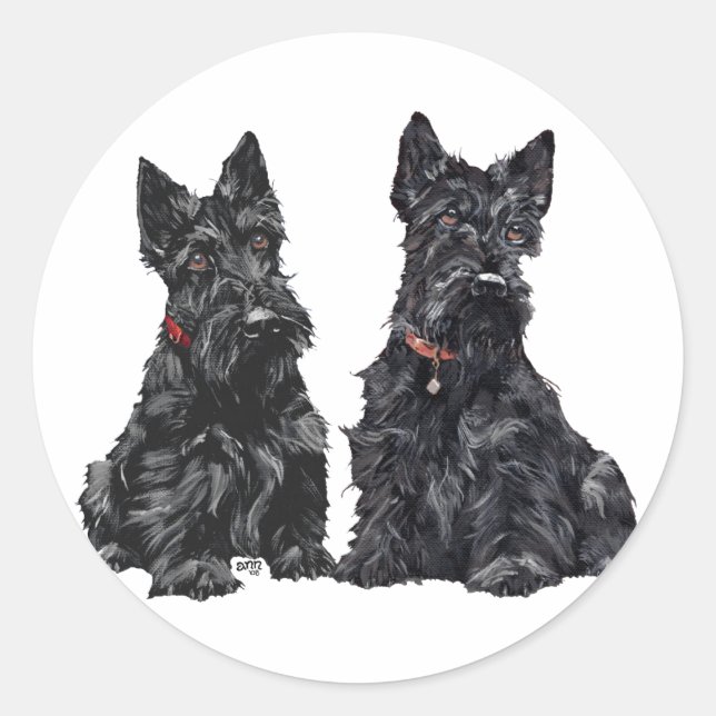 Två svarta skotska terrier runt klistermärke (Framsida)