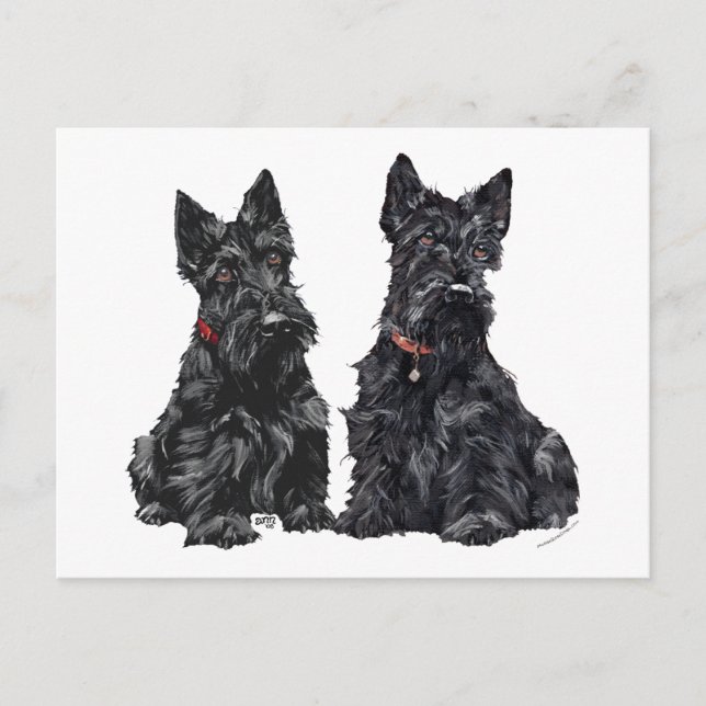 Två svarta skotska terrier vykort (Framsida)