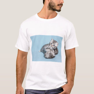 Två svarta tabbar i silver som kattungar spelar ti t shirt