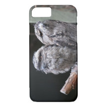 Två Tawny Frogmouth Birds