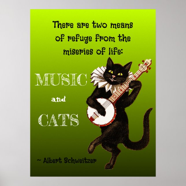 Två tillflyktsmedel Musik Katter Schweitzer Poster (Framsidan)