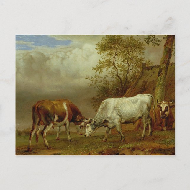 Två tjurar med låsta hästar, 1653 vykort (Framsida)