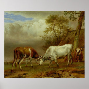 Två tjurar med låste Horns, 1653 Poster