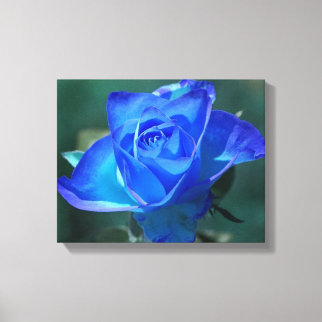 Två Tone Blue Ro Wrapped Canvas (Framsida)