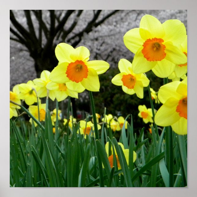 Två toner poster (Framsidan)