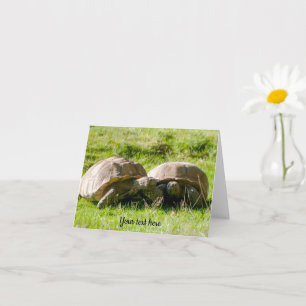 Två Tortoises - Bästa vänner! Kort för hälsning