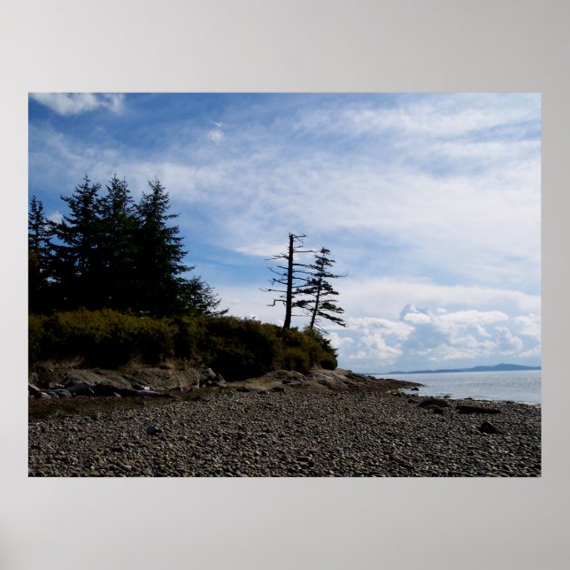 Två Träd Point Poster (Framsidan)