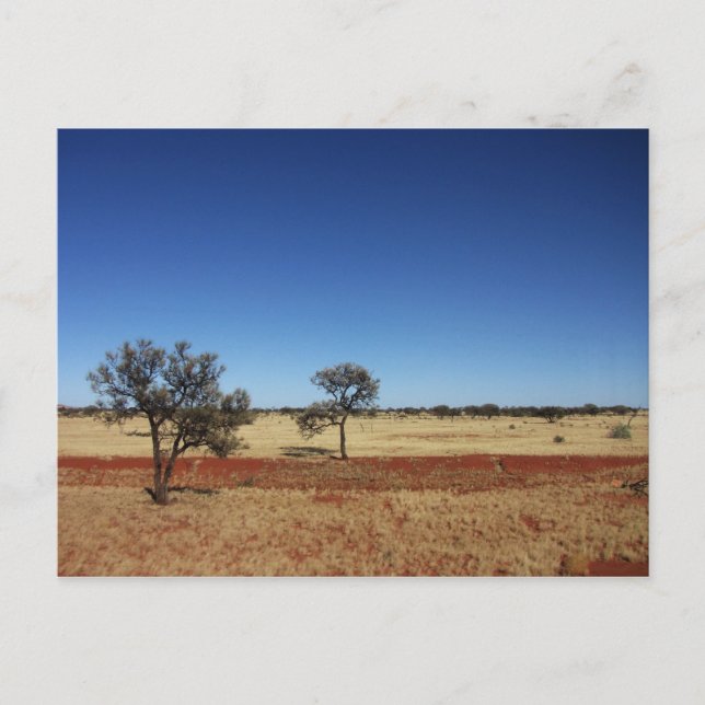 Två träd vykort (Framsida)