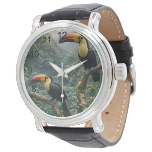 Två tropiska Toucanfåglar. Armbandsur