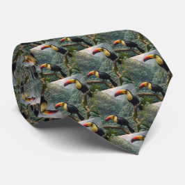 Två tropiska Toucanfåglar. Slips