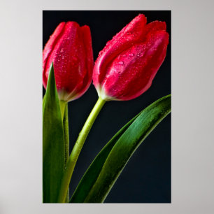 Två tupplar poster