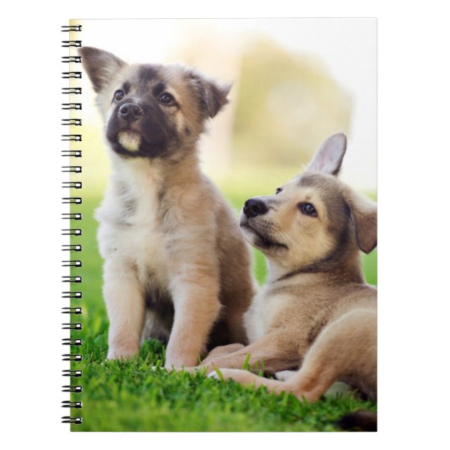 Två tyska hundvalpar anteckningsbok (Framsidan)