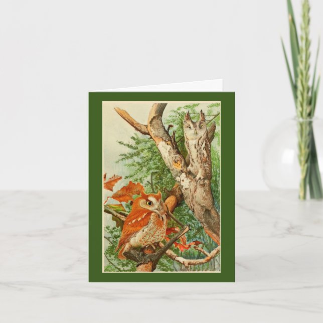 Två Uggla-hälsningskort Kort (Framsida)