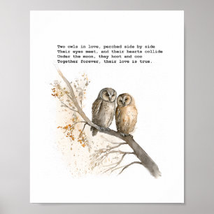 Två Uggla i Kärlek Poster