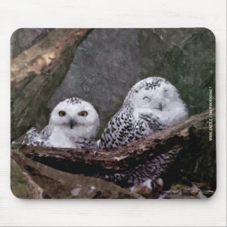 Två Uggla Musmatta