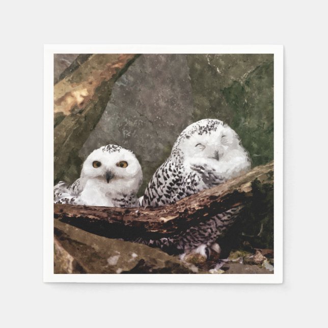 Två Uggla Pappersservett (Framsidan)