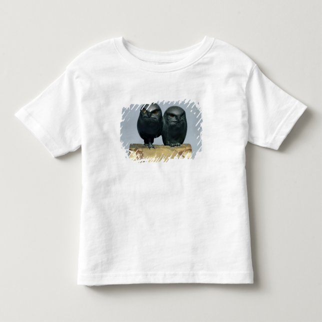 Två ugglor, 1903-04 tee (Framsida)