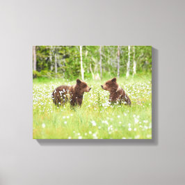 Två unga bruna björnvänner canvastryck