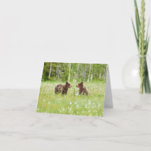 Två unga bruna björnvänner vikta hälsningskort