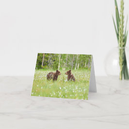 Två unga bruna björnvänner vikta hälsningskort kort