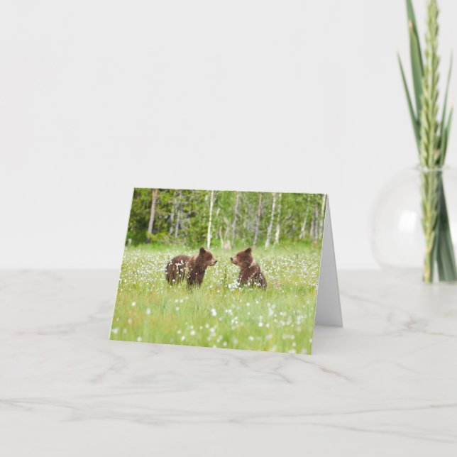 Två unga bruna björnvänner vikta hälsningskort kort (Framsida)