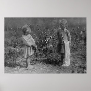 Två unga flickor som plockar bomullsfoto poster