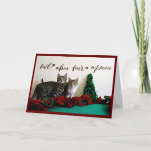 Två unga Kittens med juldekalor Helgkort