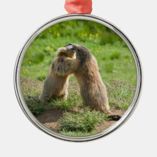 två unga marmots julgransprydnad metall