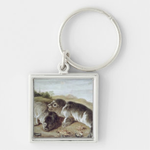 Två unga sälar på kusten, c.1650 fyrkantig silverfärgad nyckelring