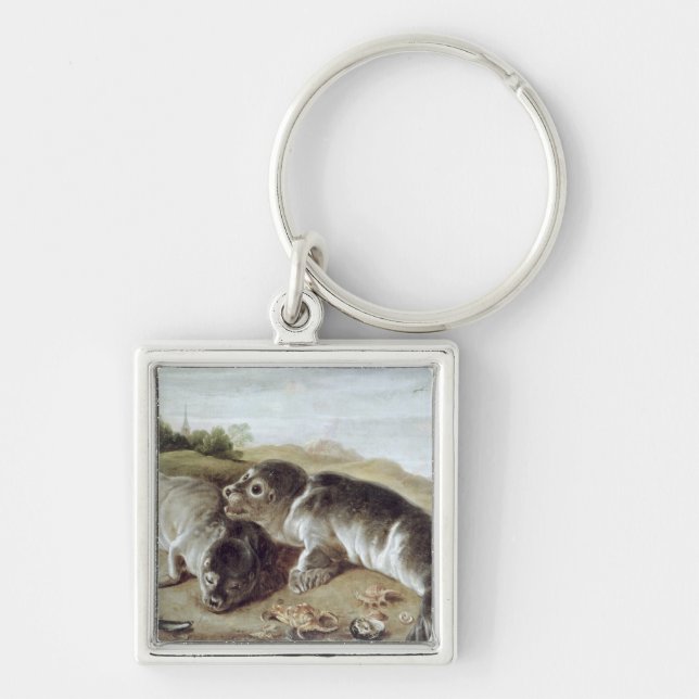 Två unga sälar på kusten, c.1650 fyrkantig silverfärgad nyckelring (Framsidan)