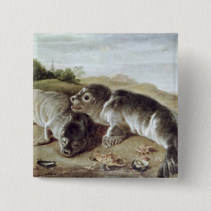 Två unga sälar på kusten, c.1650 knapp