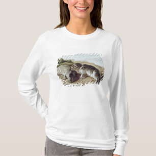Två unga sälar på kusten, c.1650 tee shirt
