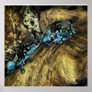 två utskjutande grodor poster