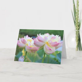 Två vackra blommor kort