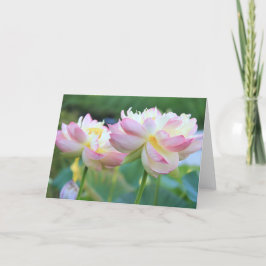 Två vackra blommor kort